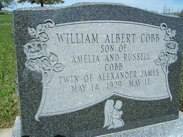 Headstone image of Cobb