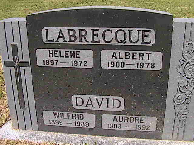 Headstone image of David