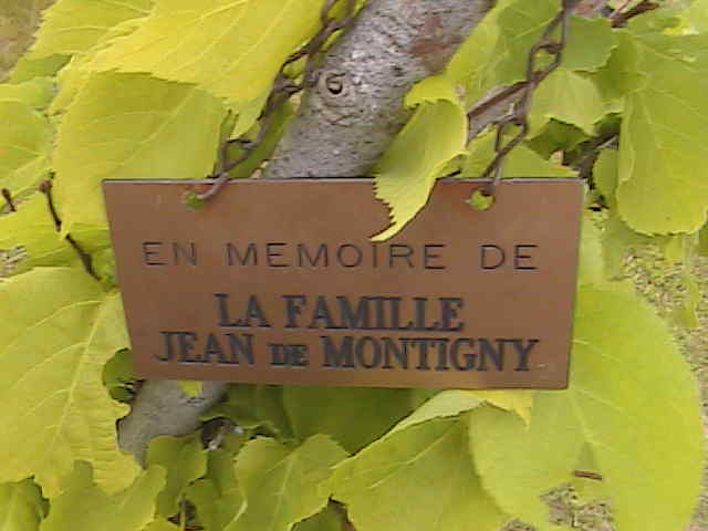 Headstone image of De Montigny