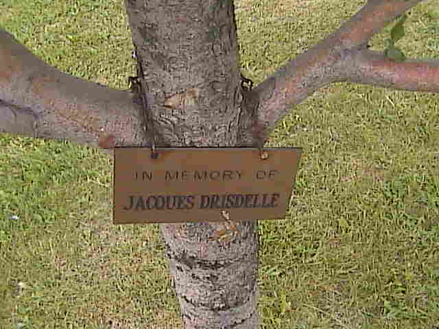 Headstone image of Drisdelle